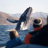 Whale Watching Tour
