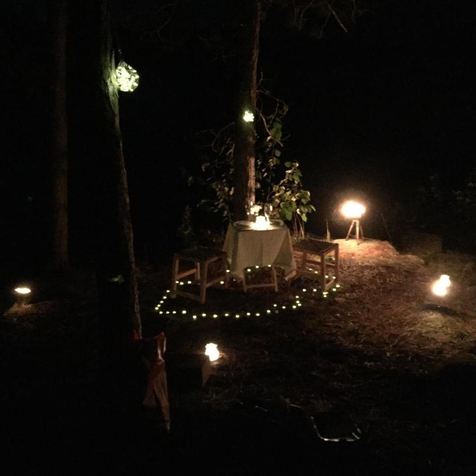 Ivan set-up a super romantic dinner by the lake where he proposed.