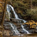 Laurel Falls Trailhead