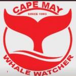 Cape May Whale Watch & Research Center