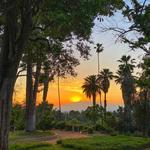 Prospect Park