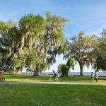 Mandeville Lakefront
