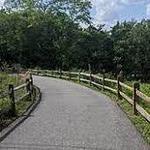 Hiker/Biker Trail - South Island Trail