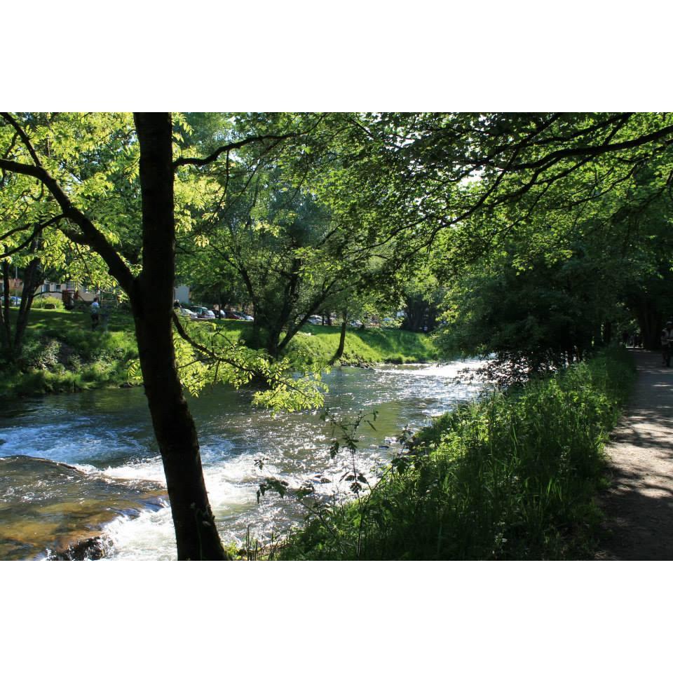 Dreisam River, Freiburg Germany, Spring, 2014.