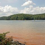 Lake Allatoona