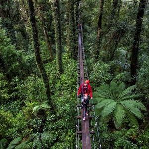 Honeymoon Fund: Rotorua New Zealand Forest Canopy Zipline Tour