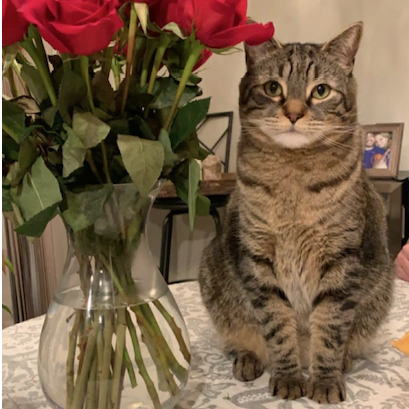 Theo, the other Best Boy