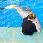 Clearwater Marine Aquarium