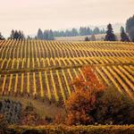 Reustle Prayer Rock Vineyards