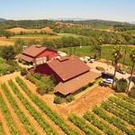 Iron Horse Vineyards