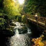 Glenariff Forest Park
