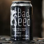 Bad Seed Cider Taproom