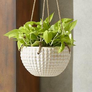 Zola Medium Hanging Planter