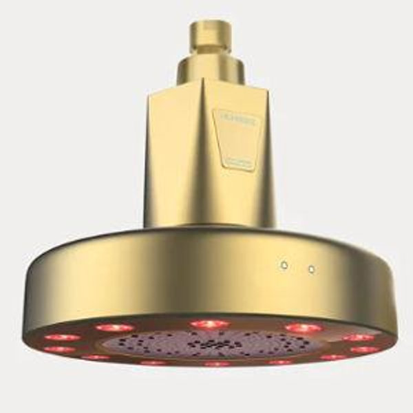 Red Light Showerhead Filter in "Polished Brass"
