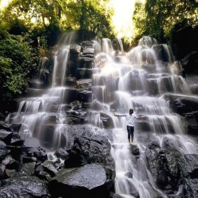 Ubud: Waterfalls, Temple & Rice Terraces Private Tour