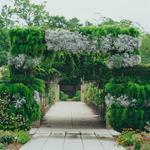 New Orleans Botanical Garden