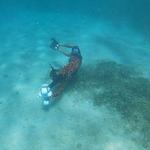 Jet Snorkel