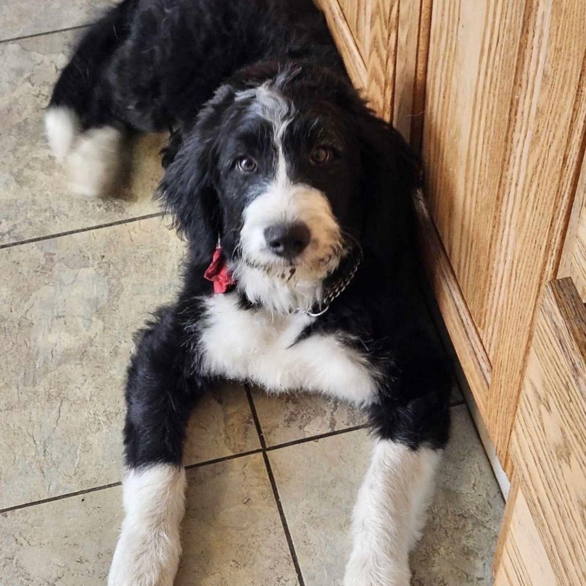 Our son Oliver "Ollie"
