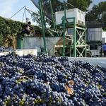 Visit a Local Winery!