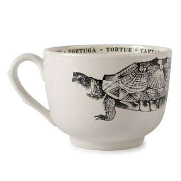 TORTOISE FAUNA GRAND CUP