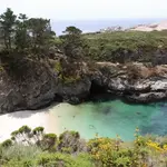 Point Lobos State Natural Reserve