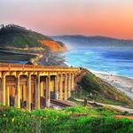 Torrey Pines State Natural Reserve