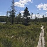 Lonesome Lake Loop