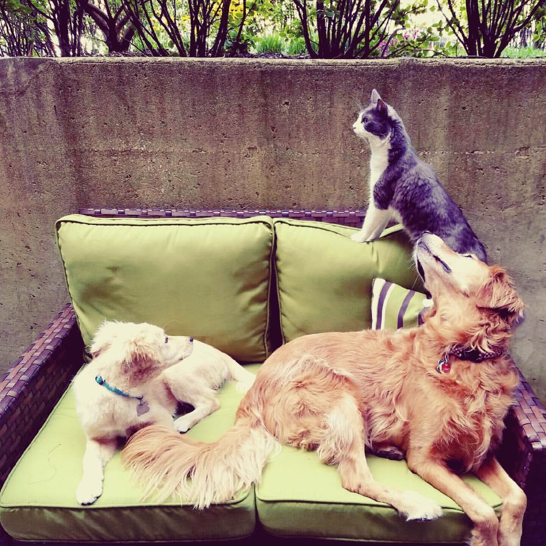 Our "kids"