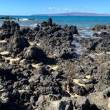 Waiakapuhi Lava Field