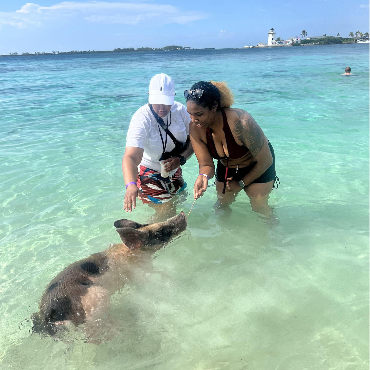 Swimming with pigs in the Bahamas!