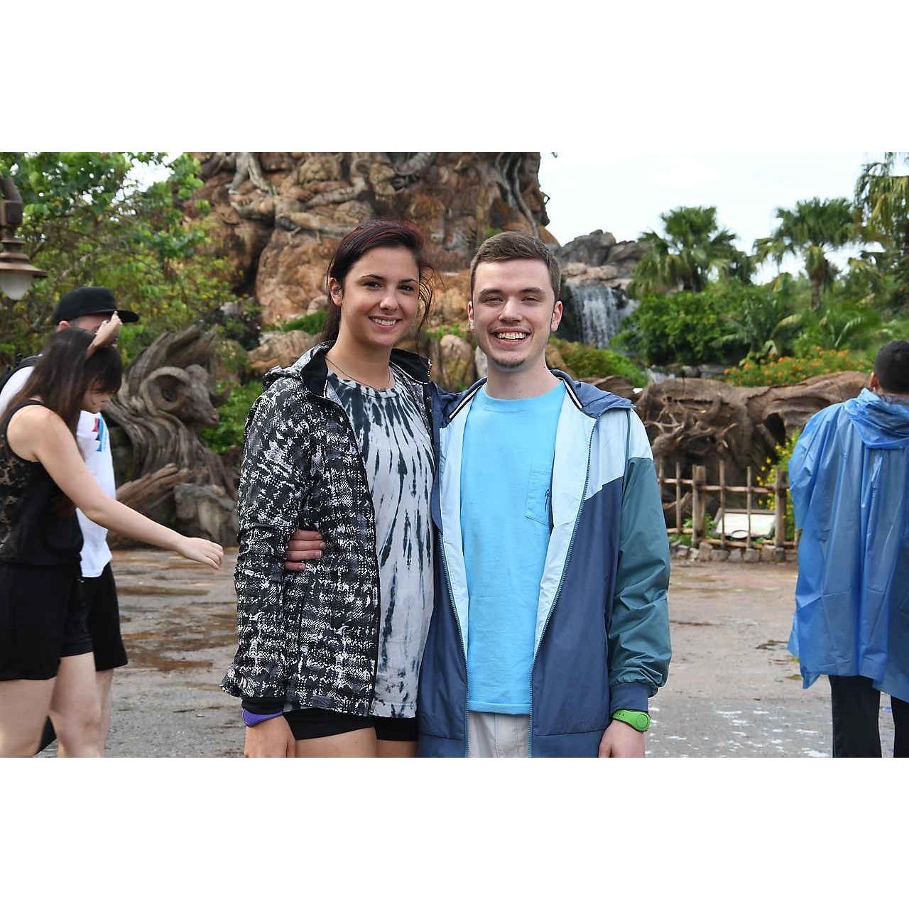 Tree of Life in Animal Kingdom May 2019