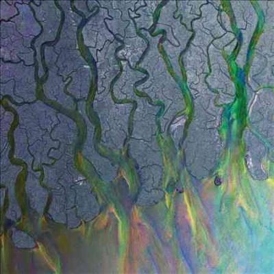 Alt-J - Awesome Wave (Vinyl)