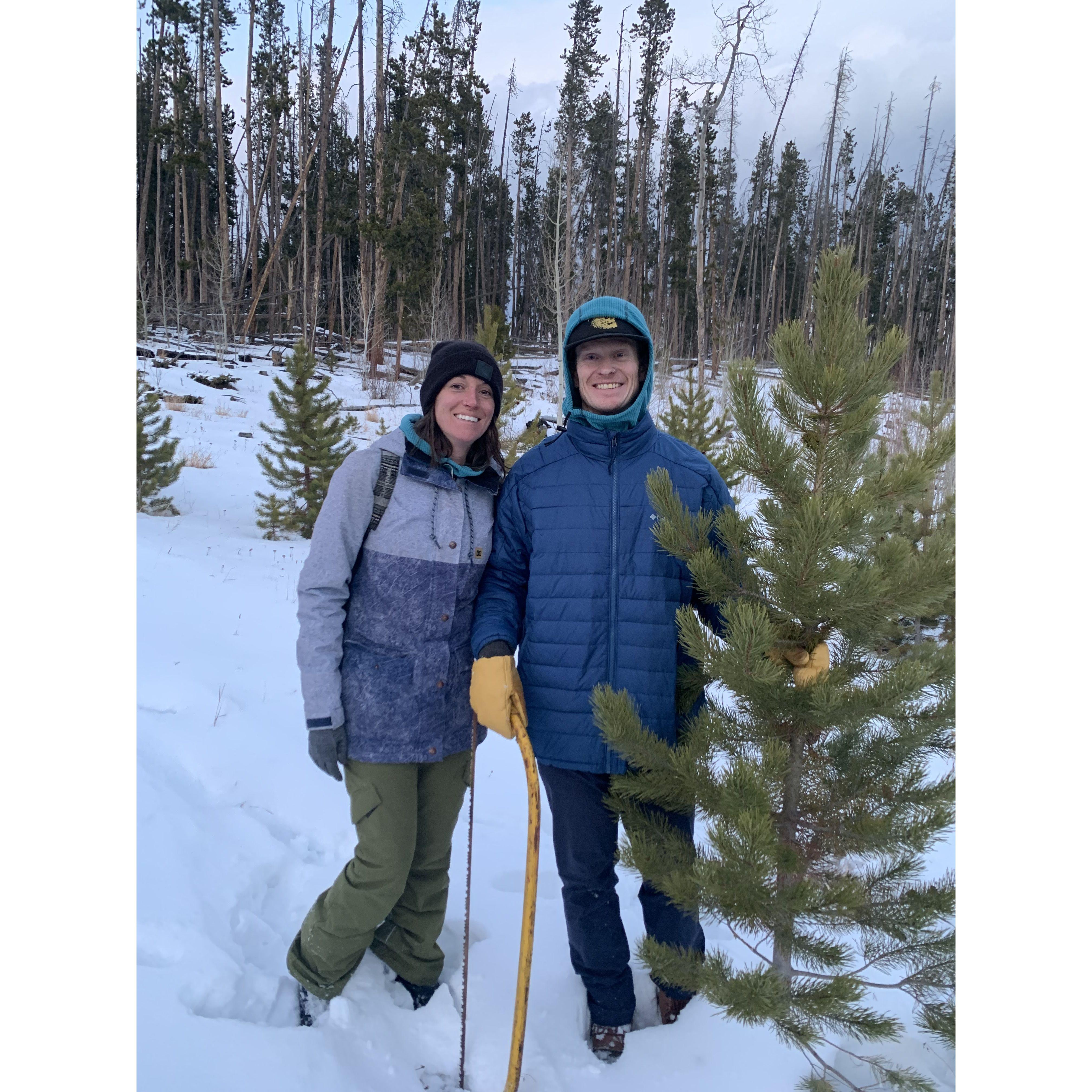 Pat & Allie cutting down their first Christmas tree together