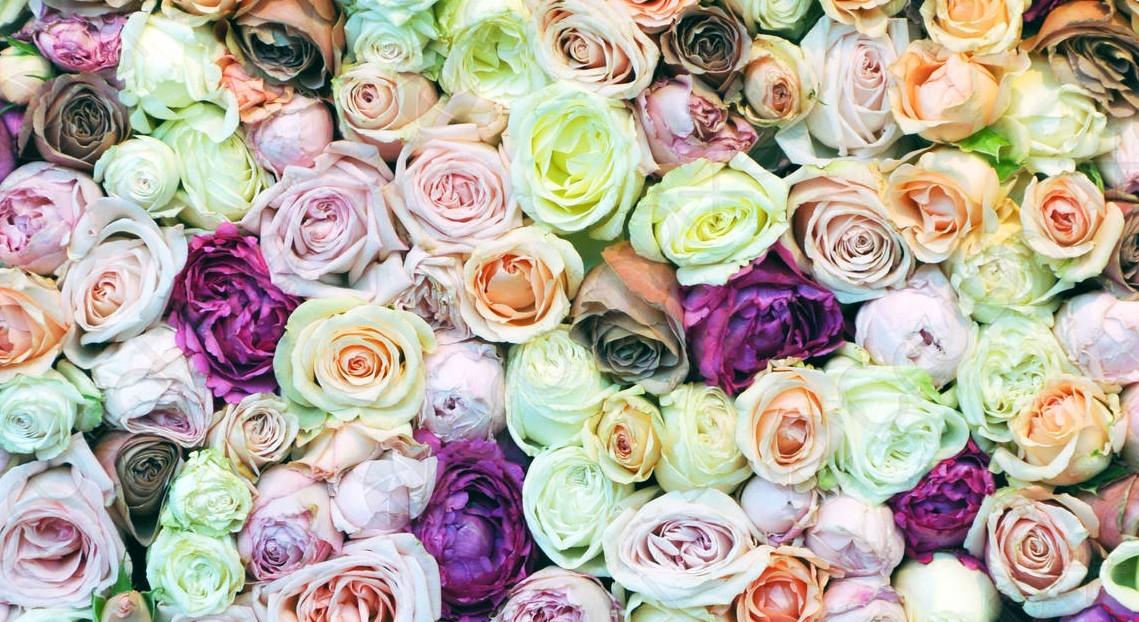 The Wedding Website of Autumn Brooks and Linwood Bogues