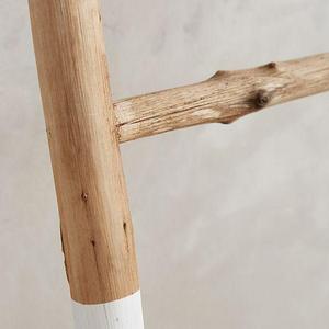 White-Dipped Ladder