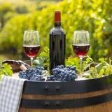 Ruta del Vino