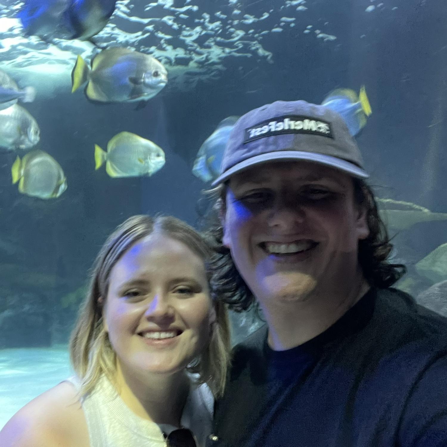 We always love an aquarium!
