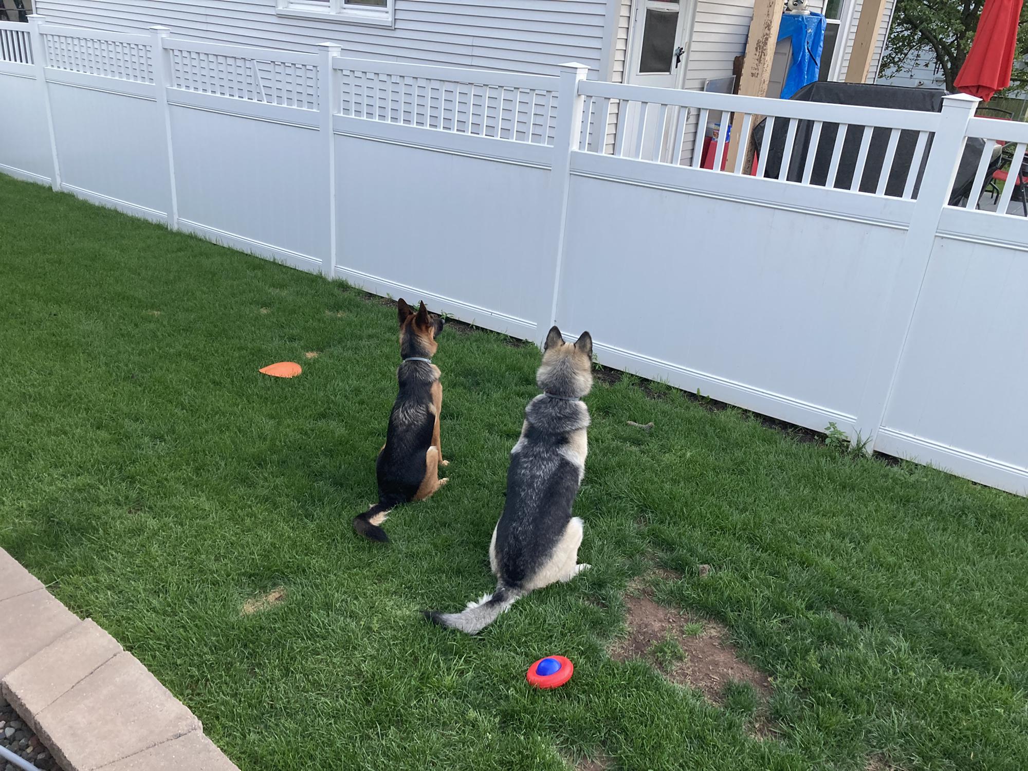 Reagan & Freyja