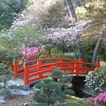 Descanso Gardens