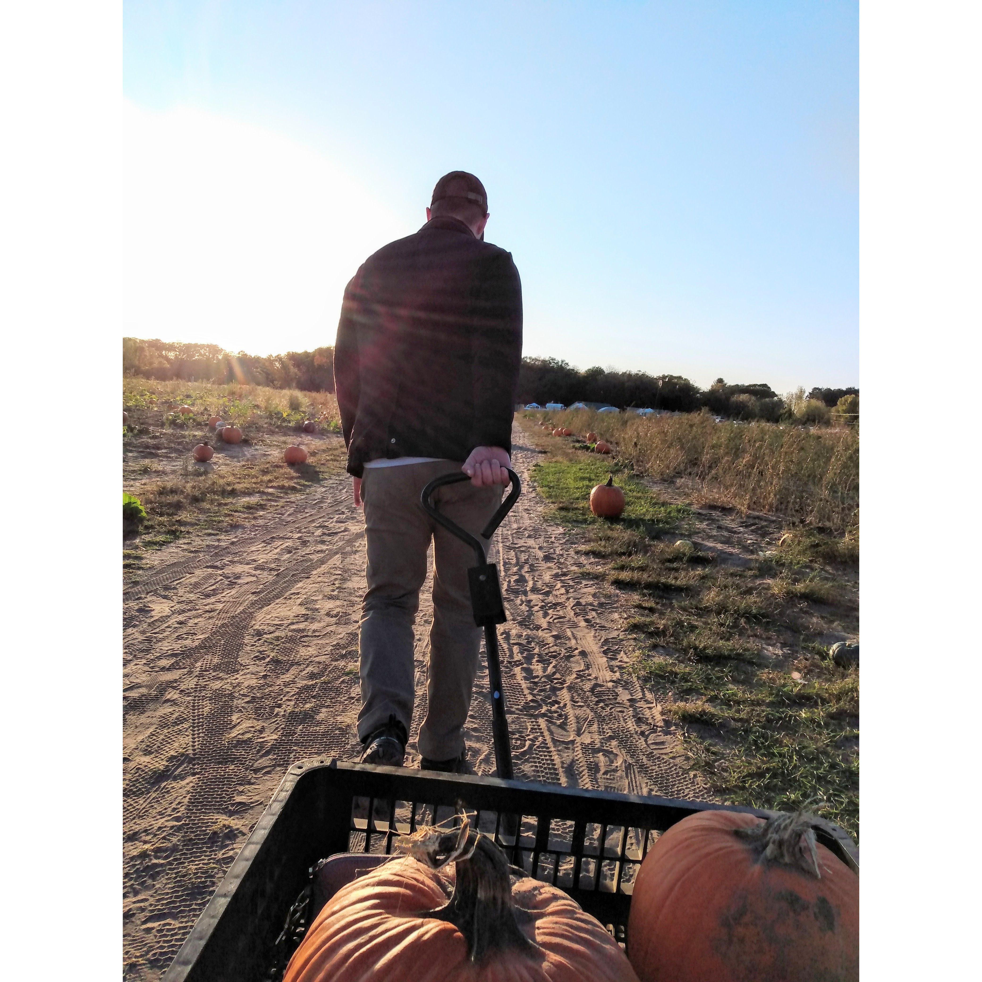 We went to the pumpkin patch