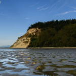 Double Bluff Beach and Off-Leash Area