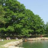 Barrett's Park