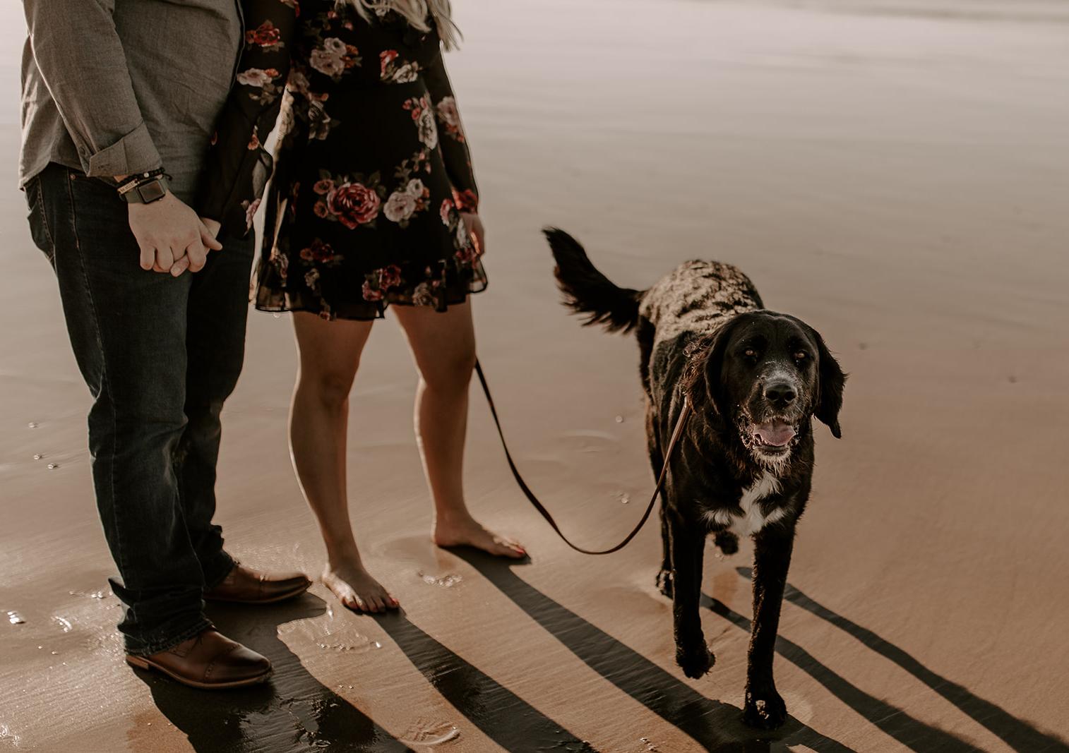 The Wedding Website of Emilee Nutt and Jordan Spencer