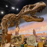 Ogden's George S. Eccles Dinosaur Park