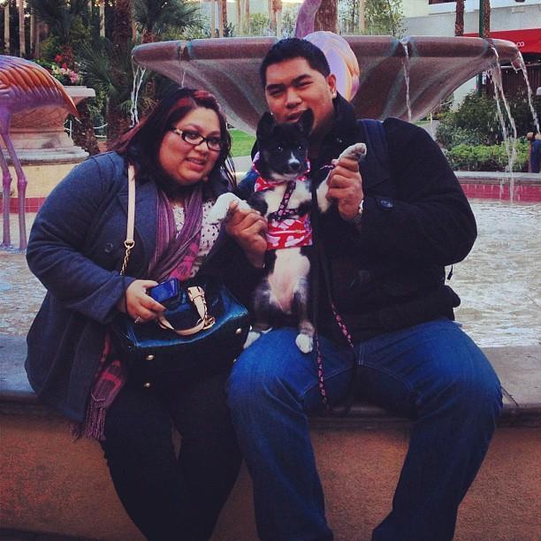 Our first trip to Vegas with our fur baby Keela