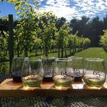 65 Vines Winery