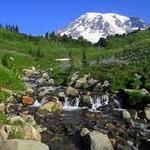 Mount Rainier National Park - Nisqually Entrance