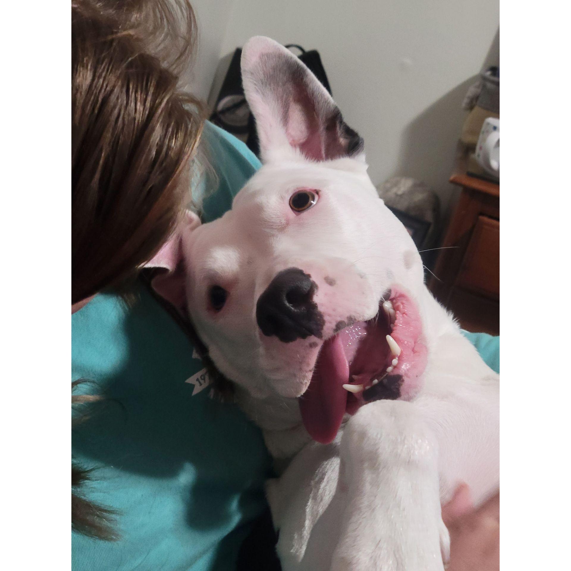our fur baby