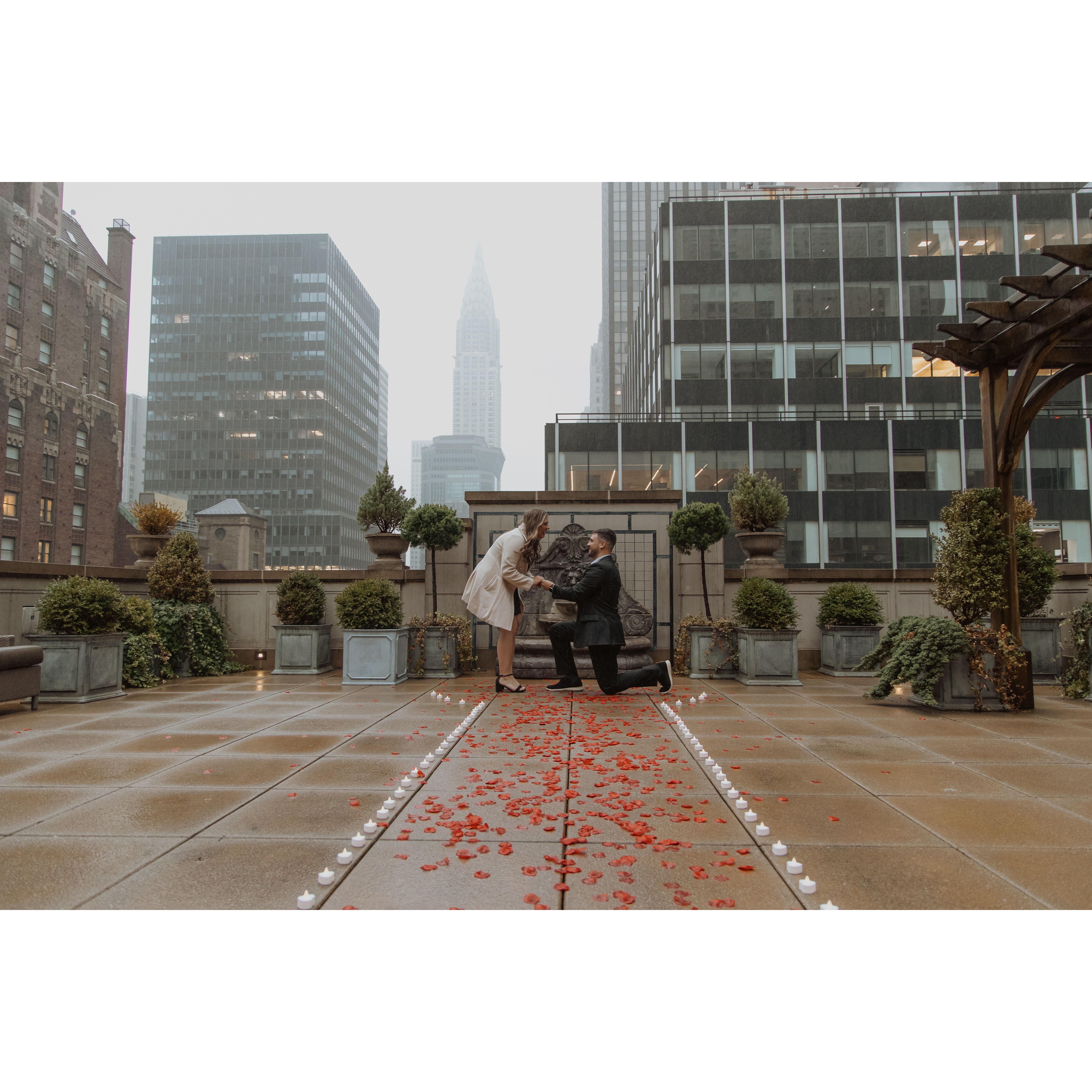 The best proposal!!