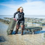 Cape Cod Oyster Tours